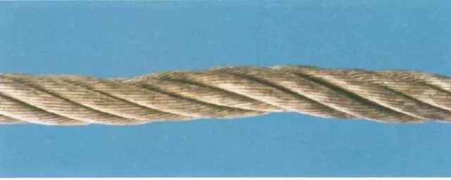 1617688801509331.jpg 3.webp.jpg